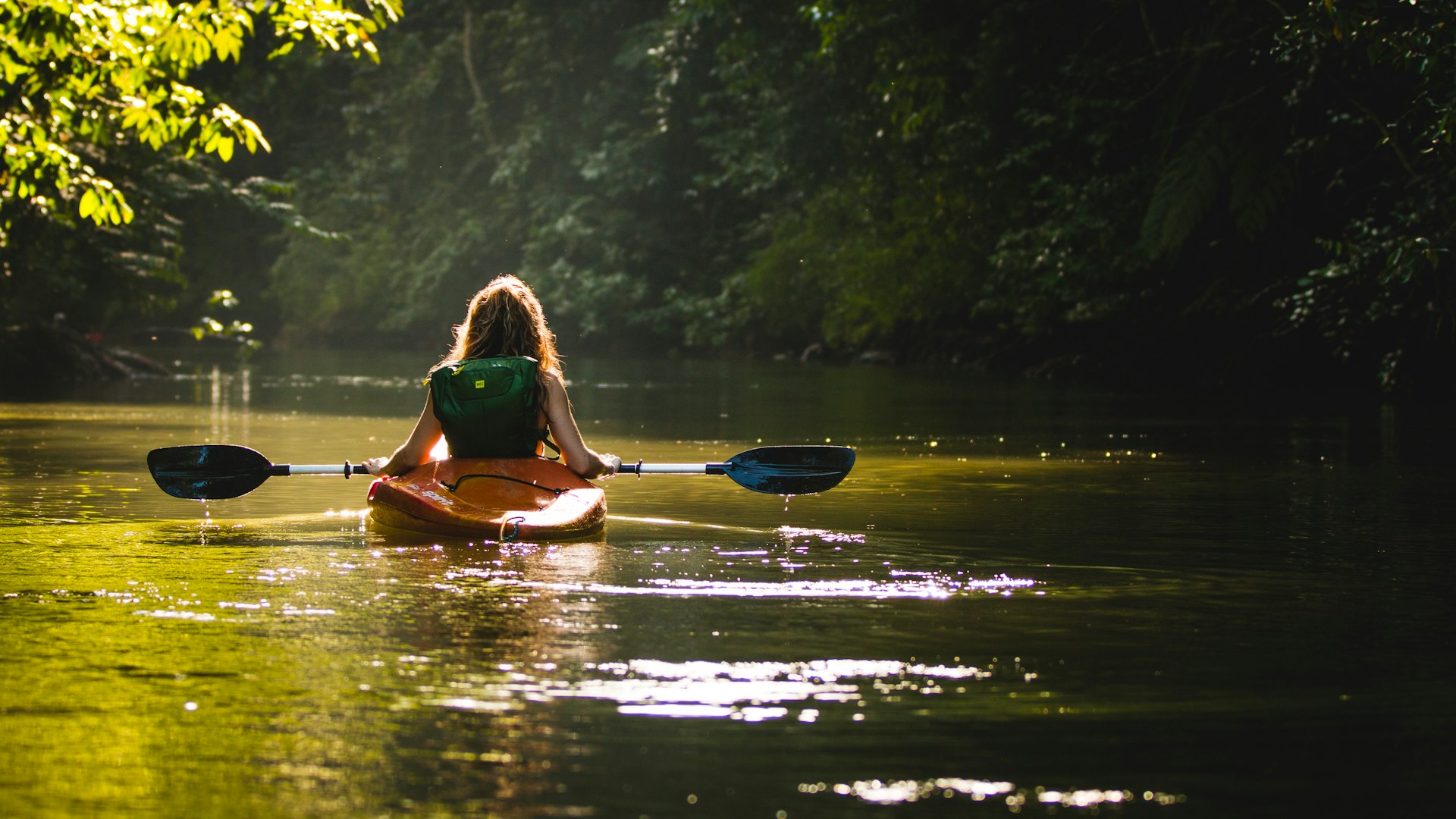 kayaking trees ocean