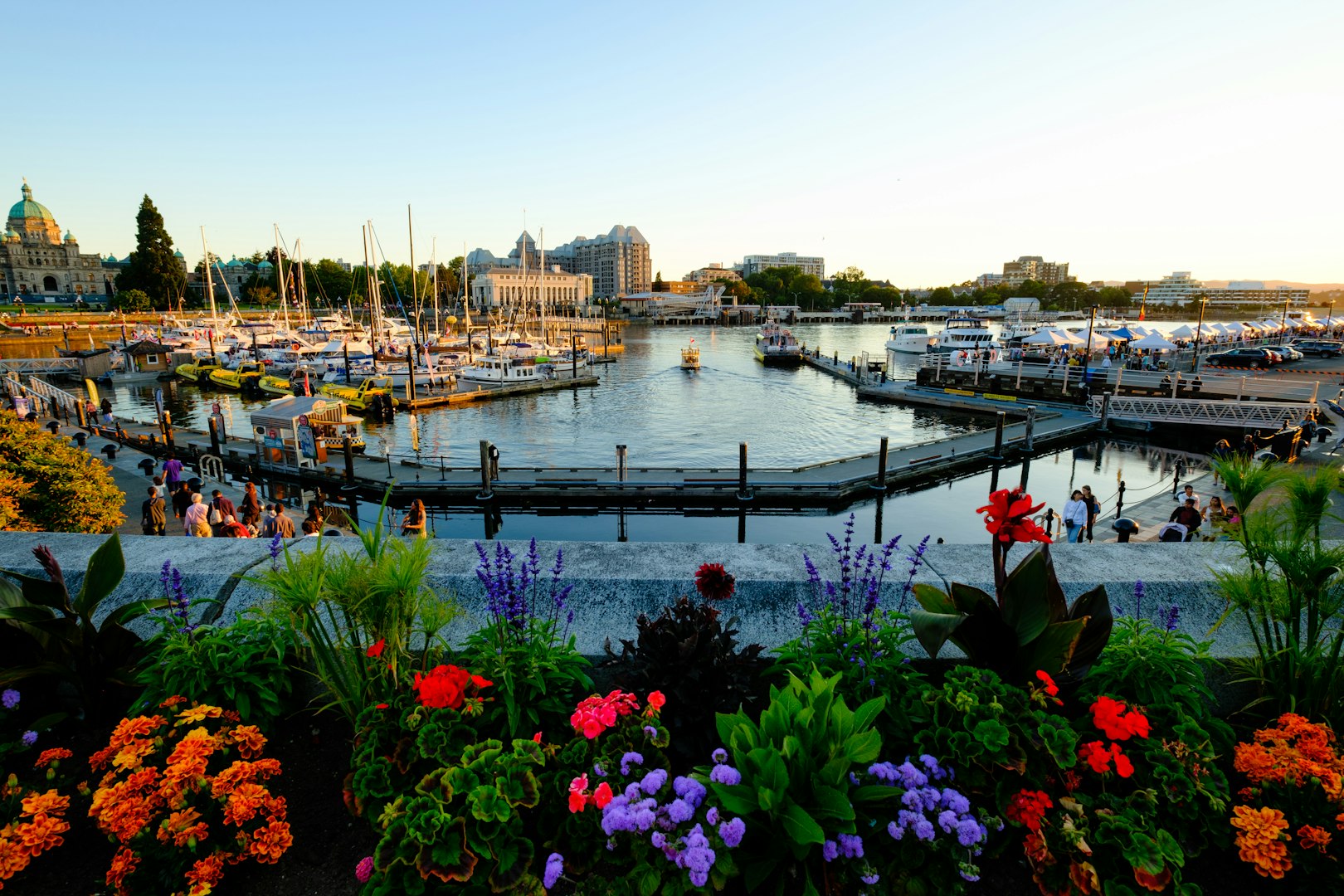 Victoria bc harbor flowers boats